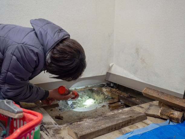 Best Post-Remediation Verification Testing  in Ordway, CO